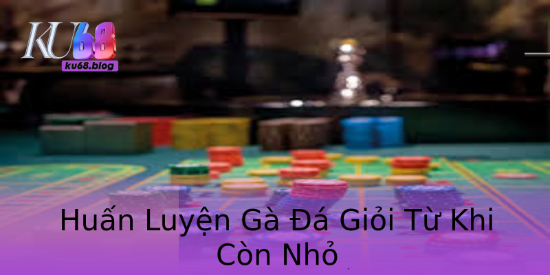 Huấn Luyện Gà Đá Giỏi Từ Khi Còn Nhỏ
